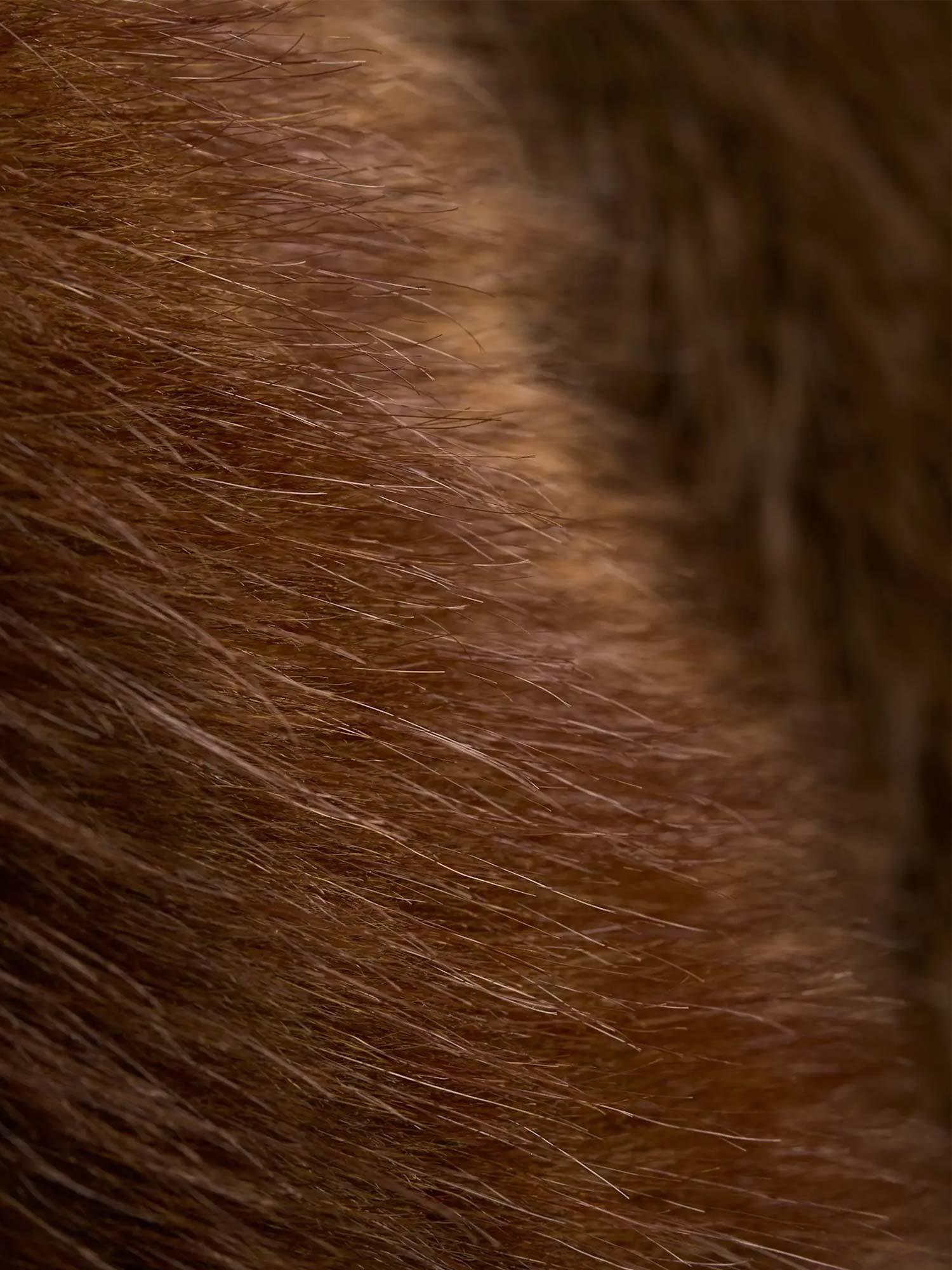 Posh Coat - Dk Brown