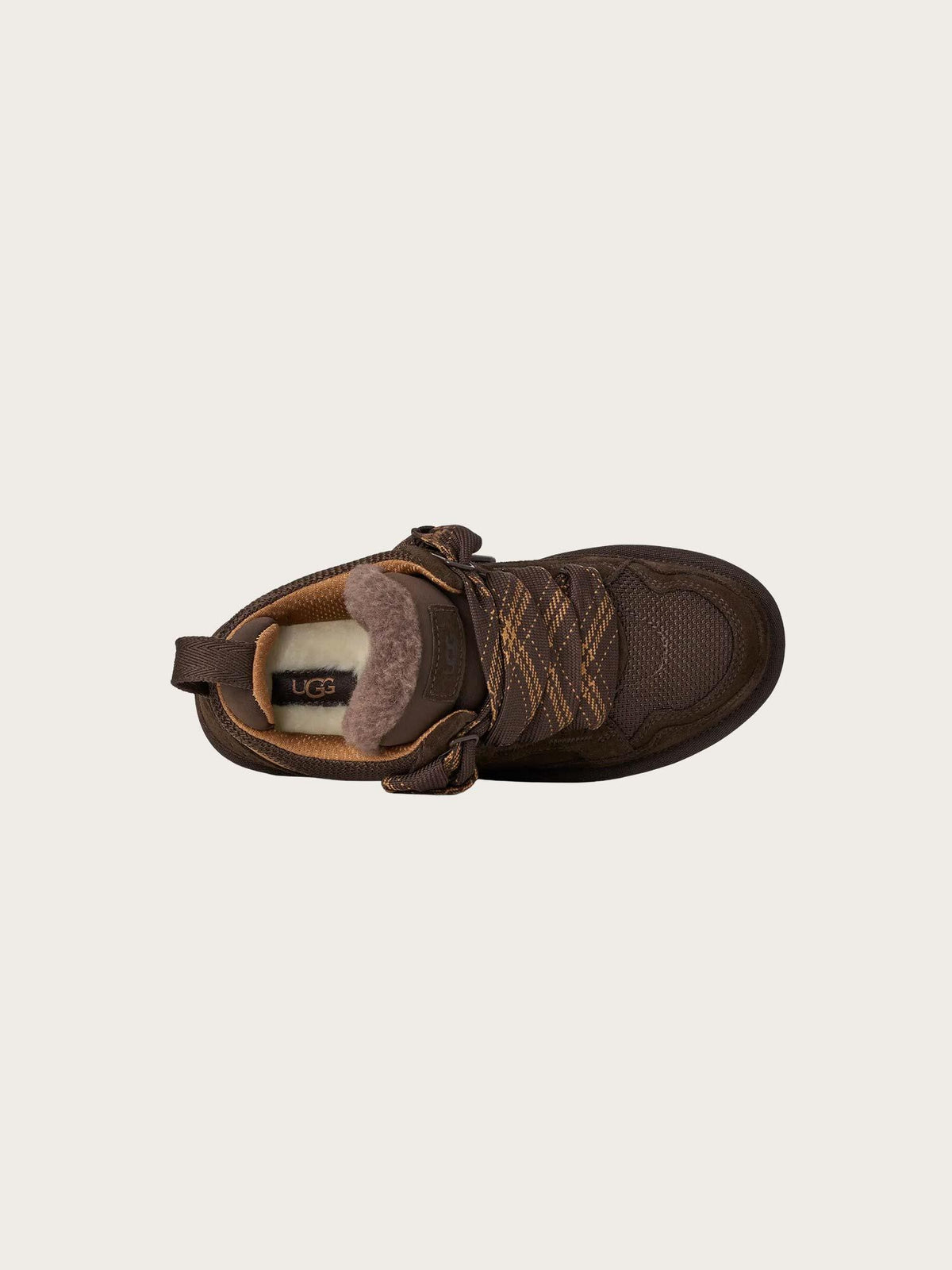 W Lowmel - Dusted Cocoa
