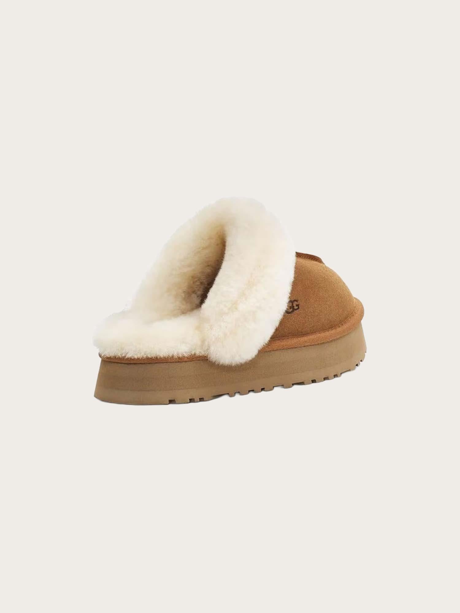 W Disquette - Chestnut