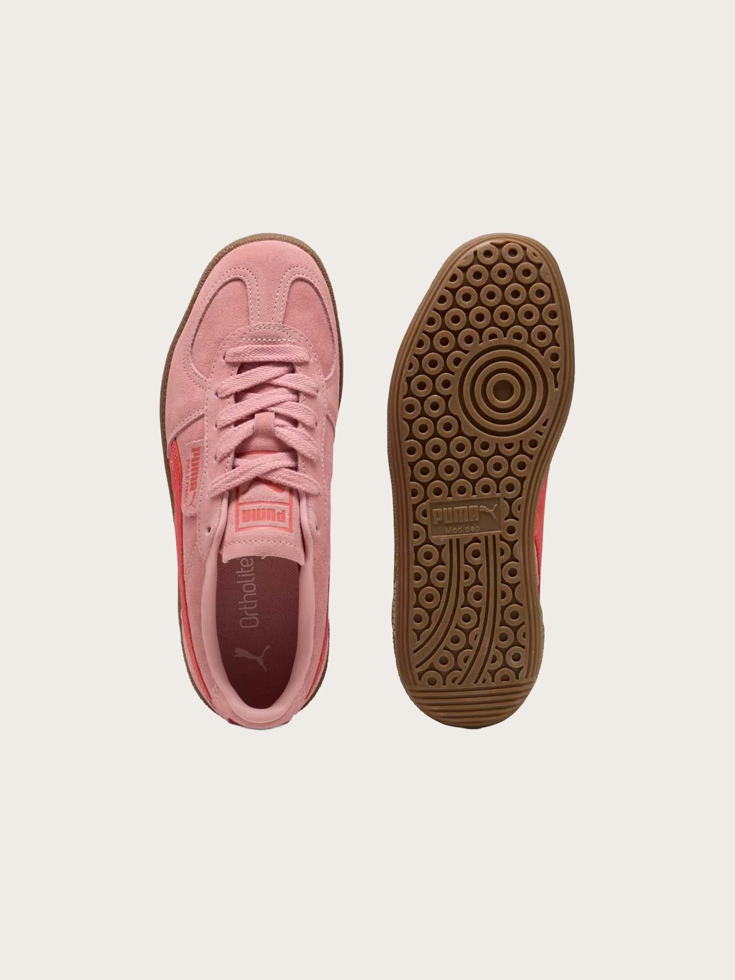 Palermo - Rosy Outlook/Gum
