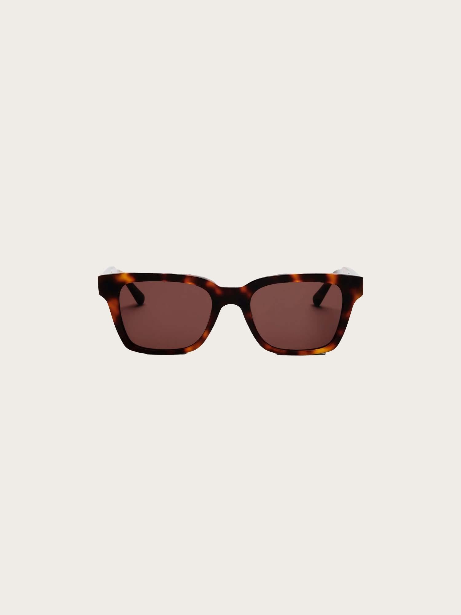 Dean - Brown Tortoise