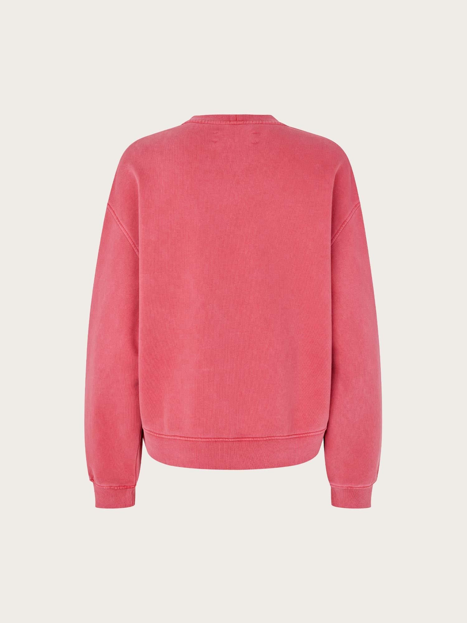 Savan Sweat - Earth Red Pigment