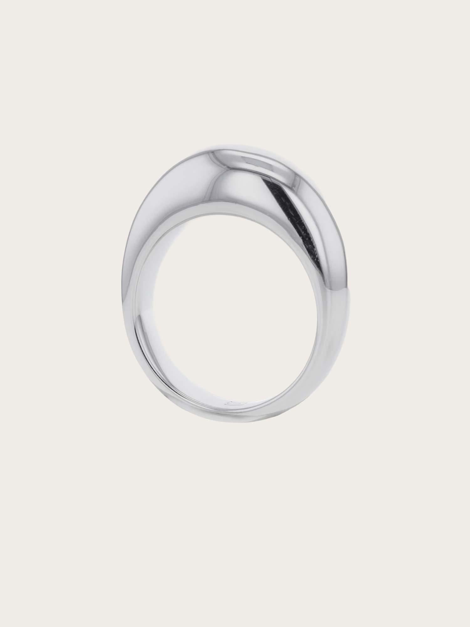The Shiny - Silver
