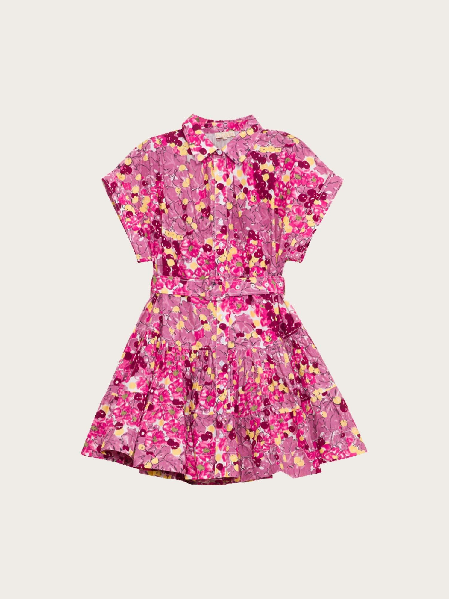 Poplin Belt Dress - Bright Field