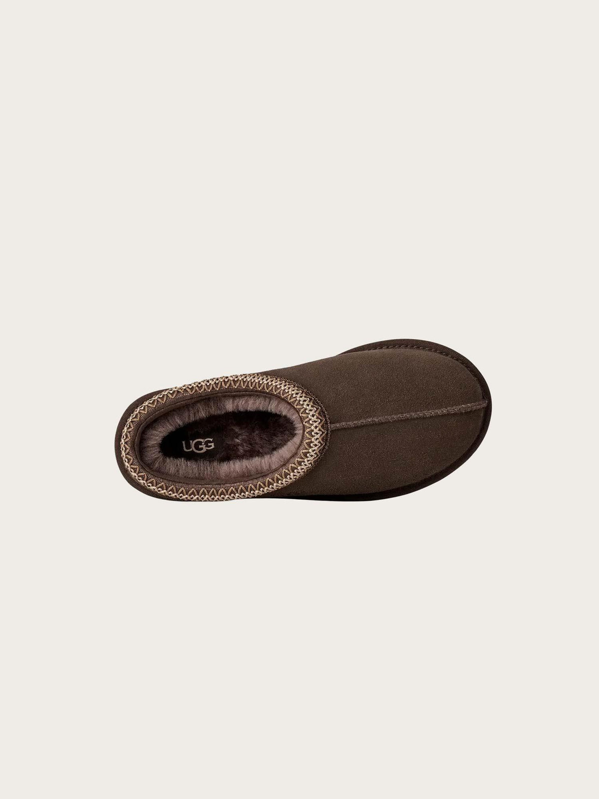 W Tasman II - Dusted Cocoa