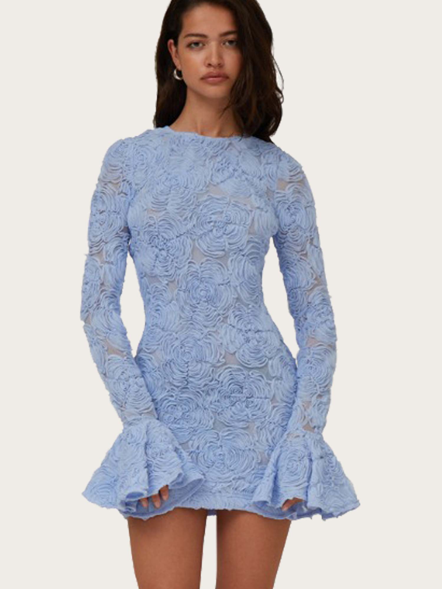 Flower Mesh Mini Dress - Skyway